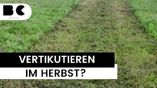 Darum sollte man den Rasen im Herbst vertikutieren [upl. by Ahsotal494]