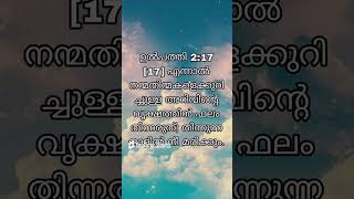 ഉൽപത്തി 217 Bible verse Malayalam  Part  45 1582thshorts BLUESEA [upl. by Karyn]