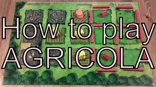 How to play Agricola [upl. by Ahsial]