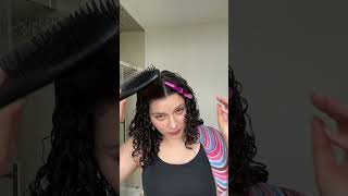 DENMAN BRUSH VS TANGLE TEEZER does your hair brush matter [upl. by Ycats]