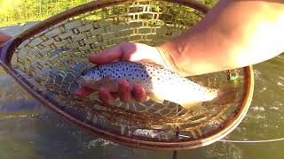 Fly fishing the Hiwassee River [upl. by Prochoras]