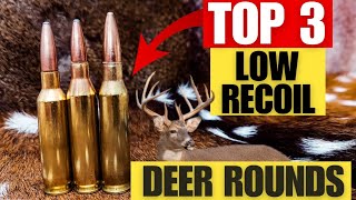 Top 3 Light Recoiling Cartridges for Deer Including My Hunting Footage With All 3 [upl. by Welles]