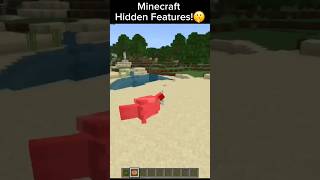 Hidden Features in Minecraft🤫 minecraft gaming secret fypシ゚viral fyp viral fypage easteregg [upl. by Goodman]