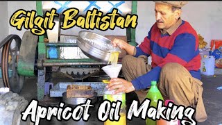 Apricot Kernel Oil Making in Gilgit Baltistan Oil extraction Machine  Old and New Method [upl. by Shaefer]