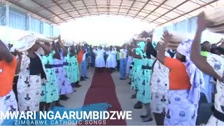 Zimbabwe Catholic Songs  Ordination Gokwe Diocese 2017 [upl. by Yesnikcm]