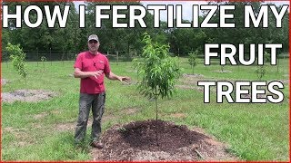 How and when to fertilizing fruit trees [upl. by Aubrie]