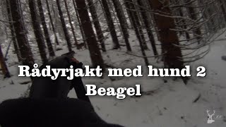 Rådyrjakt med hund 2 [upl. by Forsyth]