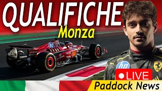 🔴 COMMENTO F1 Qualifiche LIVE GP dItalia a Monza – Tutte le Emozioni da PADDOCK NEW [upl. by Druce]