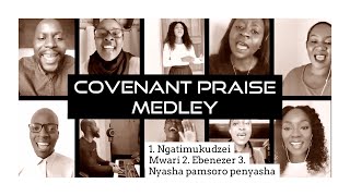 Ngatimukudzei Mwari Medley  Covenant Praise [upl. by Nyrtak798]