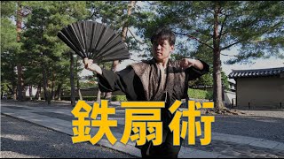 鉄扇術 Tessenjutsu 新殺陣武術 martialarts [upl. by Doretta972]