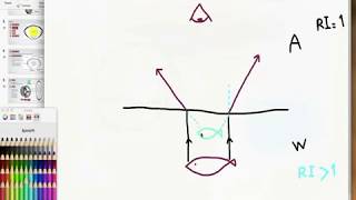 Lens Anatomy amp Physiology [upl. by Jordan]