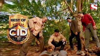 Best of CID Bangla  সীআইডী  The Secret Of Tree  Full Episode [upl. by Kcirrem]