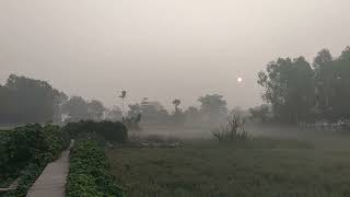 Morning in front of my house Narsingdi Bangladesh [upl. by Qidas649]