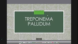 treponema pallidum [upl. by Berthold728]