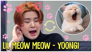 When Yoongi Turns Into Lil Meow Meow [upl. by Brendis]