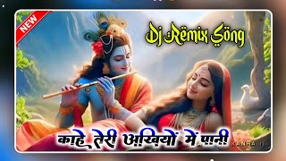 Meera Prem Deewani Dj Remix Ssong New Hindi Bhakti Song 2014 Dj RVM MUSIC Nemichand Sharma [upl. by Eciuqram]