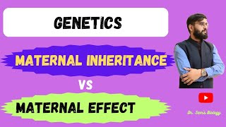 Maternal Inheritance VS Maternal Effect [upl. by Erasmus938]