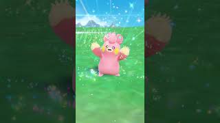 🌟Shiny Pawmi Evolved Into Shiny Pawmo🌟 Pokémon Violet [upl. by Marduk990]