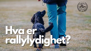 Hva er rallylydighet [upl. by Deibel]