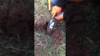 Schatzsuche im Garten 2024 Teil 1 metaldetecting metalldetektor sondeln schatzsuche munition [upl. by Seebeck]