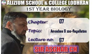 Protists Introduction to Protists  Biology 1st year  Lecture 66  Asghar Ch [upl. by Otilegna]