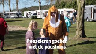 Camping de Otterberg Wijster [upl. by Repinuj]