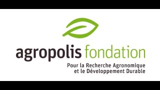 Vidéo présentation Agropolis Fondation [upl. by Ludvig]