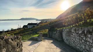 The Sun the vineyard and the Lake of Biel in Switzerland [upl. by Dranoel]