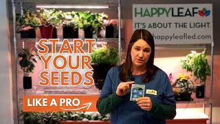 How To Start Seeds Indoors With Grow Lights Grow Beautiful Plants From Scratch [upl. by Stodder111]