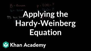 Applying the HardyWeinberg equation  Biomolecules  MCAT  Khan Academy [upl. by Norabal]