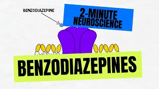 2Minute Neuroscience Benzodiazepines [upl. by Jehanna]