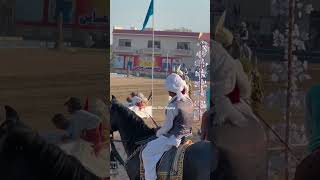 Horse Riding Skills  Horse Jump  Horse Event  Al Abbas Stadium Chiniot shorts [upl. by Hume]