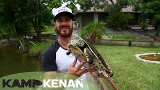 Argentine Sideneck Turtle Kamp Kenan Bonus [upl. by Nita]