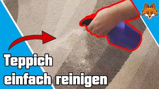 Teppich reinigen mit Backpulver  Schneller Trick 💧 [upl. by Ailaro]