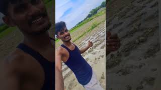 jindabad jawani jindabad kisani khet ropte samay mini vlogs [upl. by Eltrym]