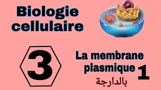 شرح بالدارجة لدرس membrane plasmique L1 من مادة Biologie cellulaire S1 Snv سنة اولى تخصص بيولوجي [upl. by Otrebtuc]