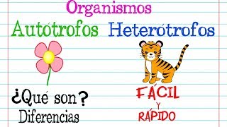 Organismos 🌿AUTÓTROFOS Y HETERÓTROFOS🐝 Fácil y Rápido  BIOLOGÍA [upl. by Nerhtak]