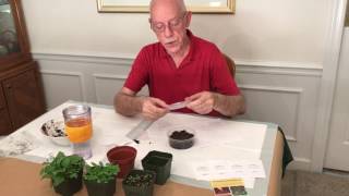 Sowing African violet seeds [upl. by Alyl]