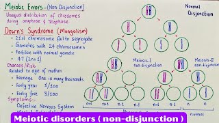 Meiotic errors  Nondisjunction  downs syndrome  klinefelters syndrome  Turners syndrome [upl. by Vijnas449]