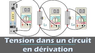 Tension dans un circuit en dérivation  Physique  Collège [upl. by Thornton300]