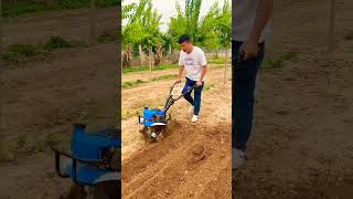 hillside hilly orchard greenhouse cornfield rotary tiller weeding machine ditching machine ✨ [upl. by Leahcimauhsoj]