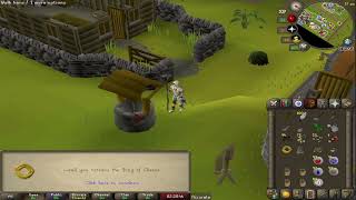 A Charming Individual  OSRS Ironman Progress Series Episode 11 [upl. by Whelan]