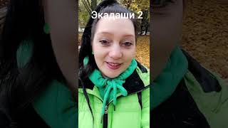 Экадаши 2 Голодание Пост Зачем я проверяю кровь после экадаши прогулка экадаши голодание [upl. by Gustaf]