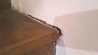 Quick Fixing Guide To cracks On A Staircase [upl. by Peursem124]