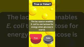 Biology Definition Challenge  Lac operon 2 [upl. by Yelraf298]