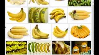 Spiras Favorite Mucusless Diet Healing System Foods Fruits Part 2 [upl. by Talia663]