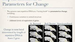 Are Mutations Random [upl. by Della]