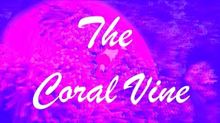 Brooks Nielsen  The Coral Vine Sub Español [upl. by Sid]