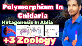 Polymorphism in Cnidaria \\ METAGOGENESIS IN OBLIAN \\ 3 zoology by Ram Sir \\ srikrishnaeducation [upl. by Salita775]