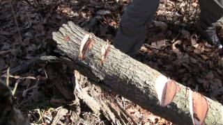 Gransfors Bruks Mini Hatchet Closeup HD [upl. by Ehman796]